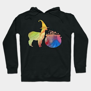 Witch llama Hoodie